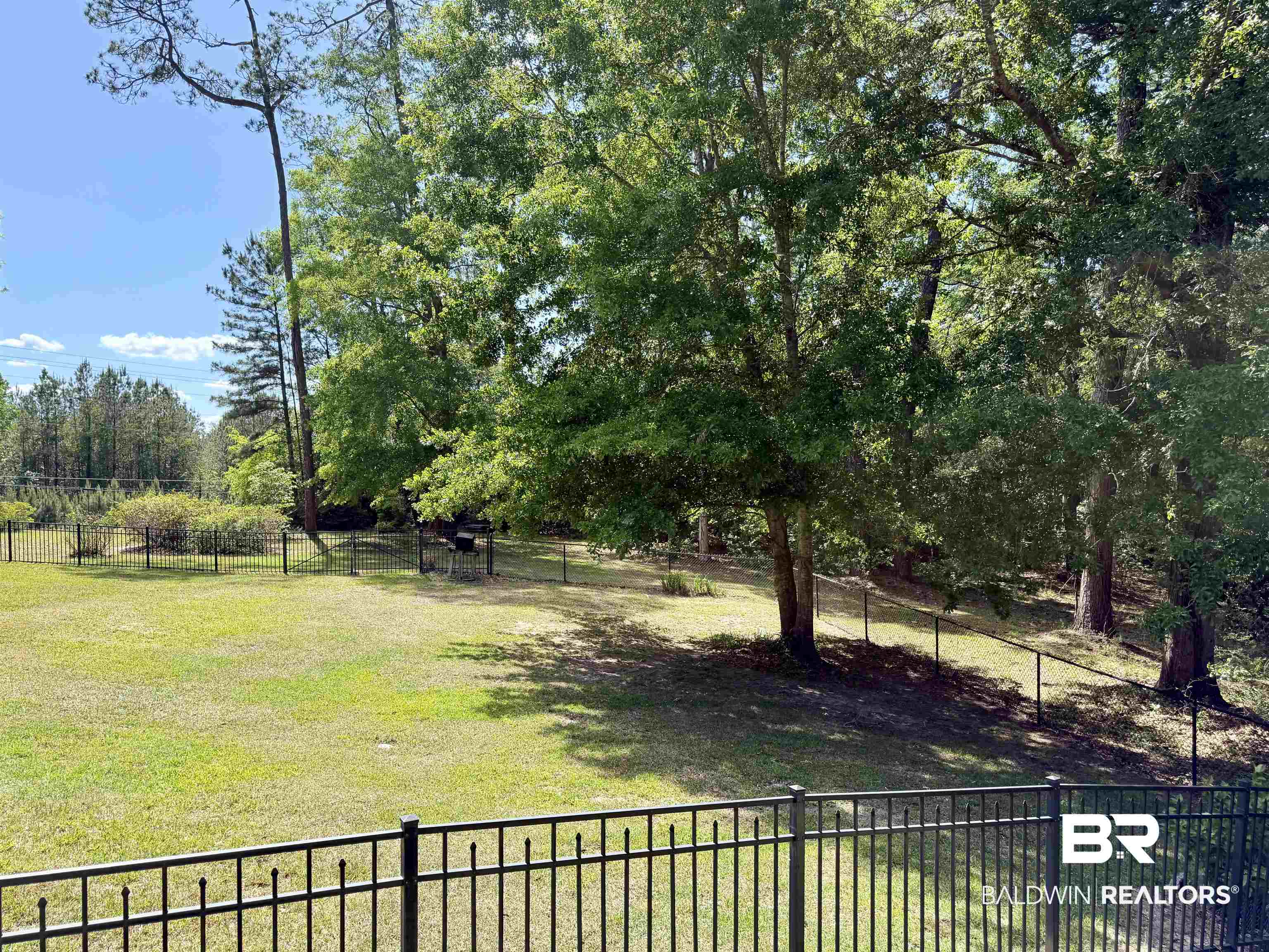 2944 Appleton Road Brewton, AL 36426 - Photo 54 of 65 View of yard