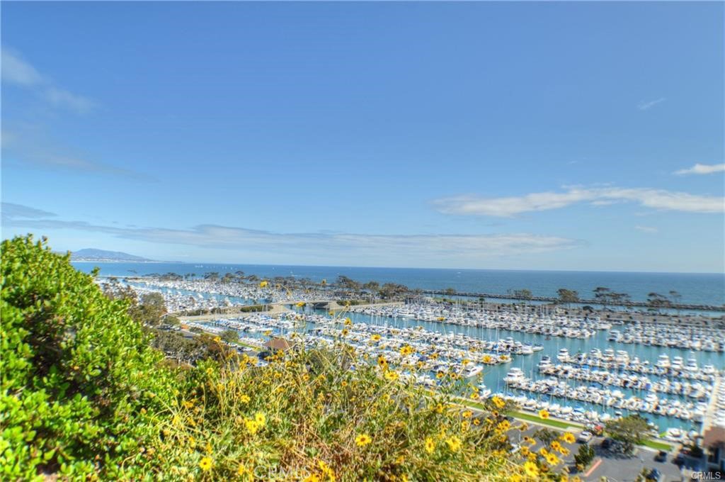 34036 Selva Road, Unit 108 Dana Point, CA 92629 - Photo 41 of 50 Walkway and Salt Creek Beach Park access across the street from the unit.