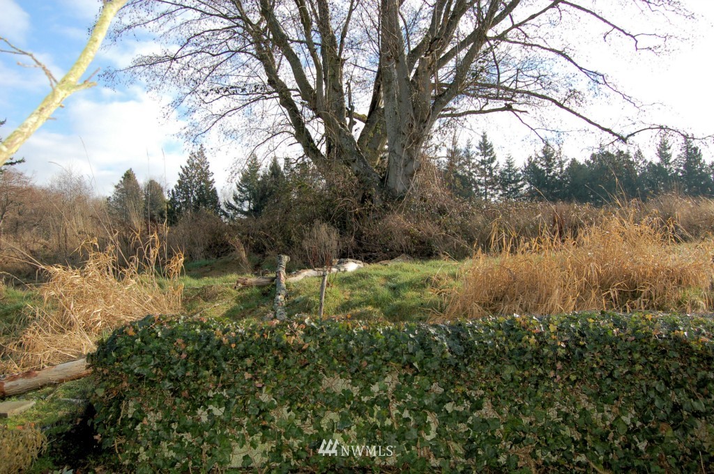 4148 Deemer Road, Unit 101 Bellingham, WA 98226 - Photo 13 of 15 Gallery Image 13