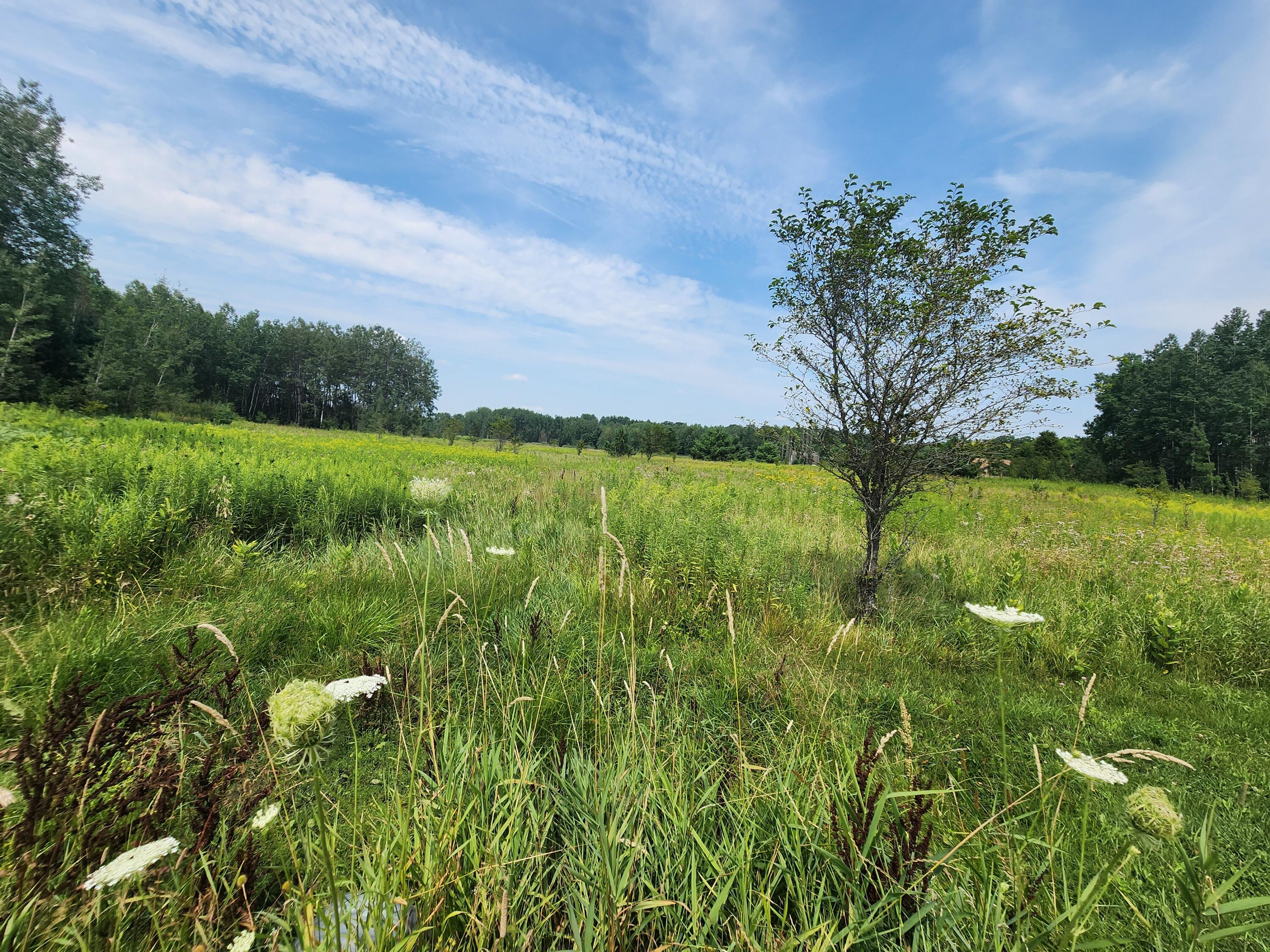 1460 Mishler Road Luzerne, MI 48636 - Photo 48 of 64 Gallery Image 48