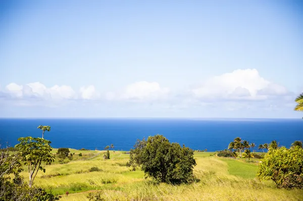 a view of an ocean