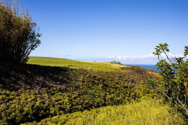 a view of a houses with a lake view