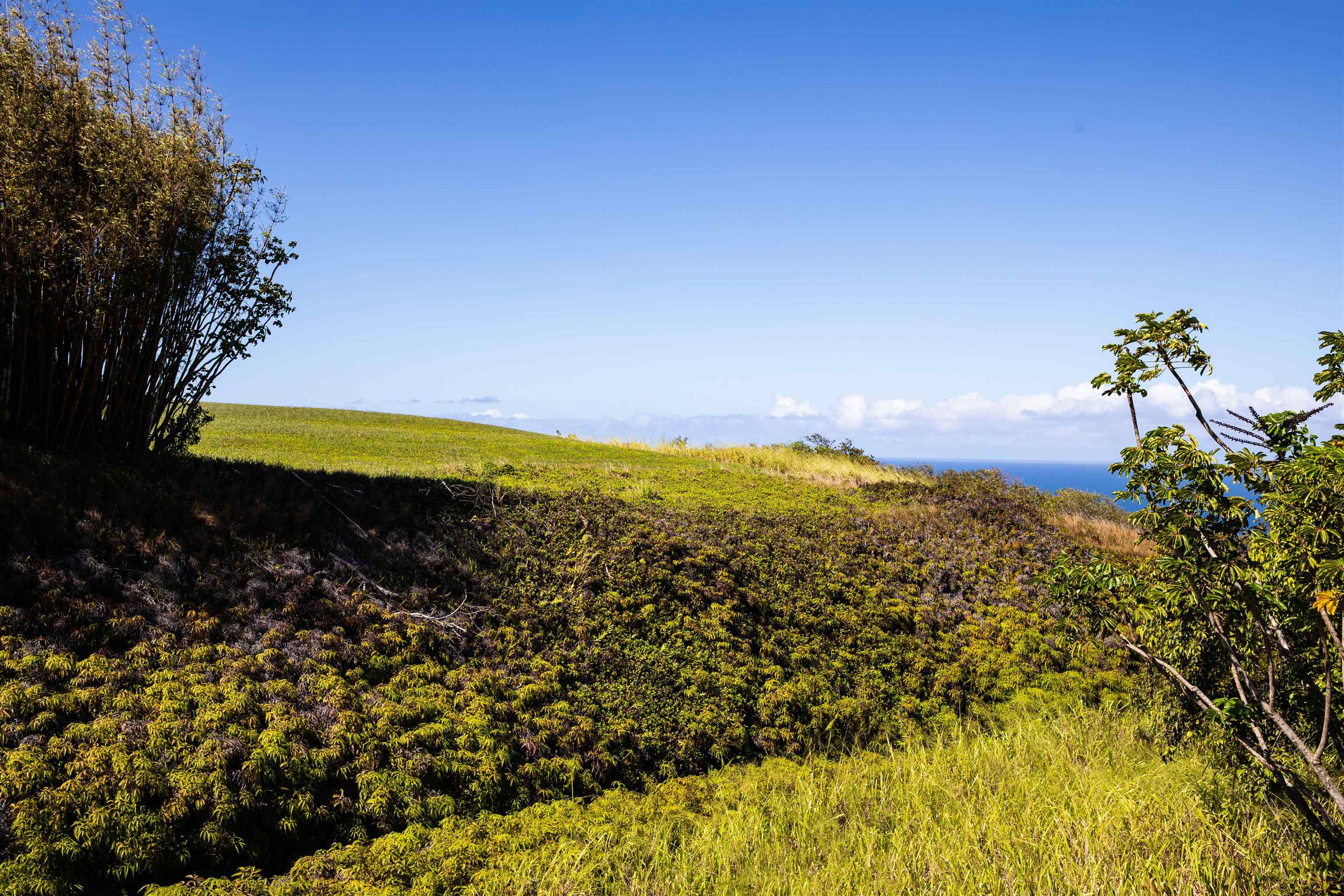 17 Kai Huki Street Haiku, HI 96708 - Photo 4 of 17 a view of a houses with a lake view