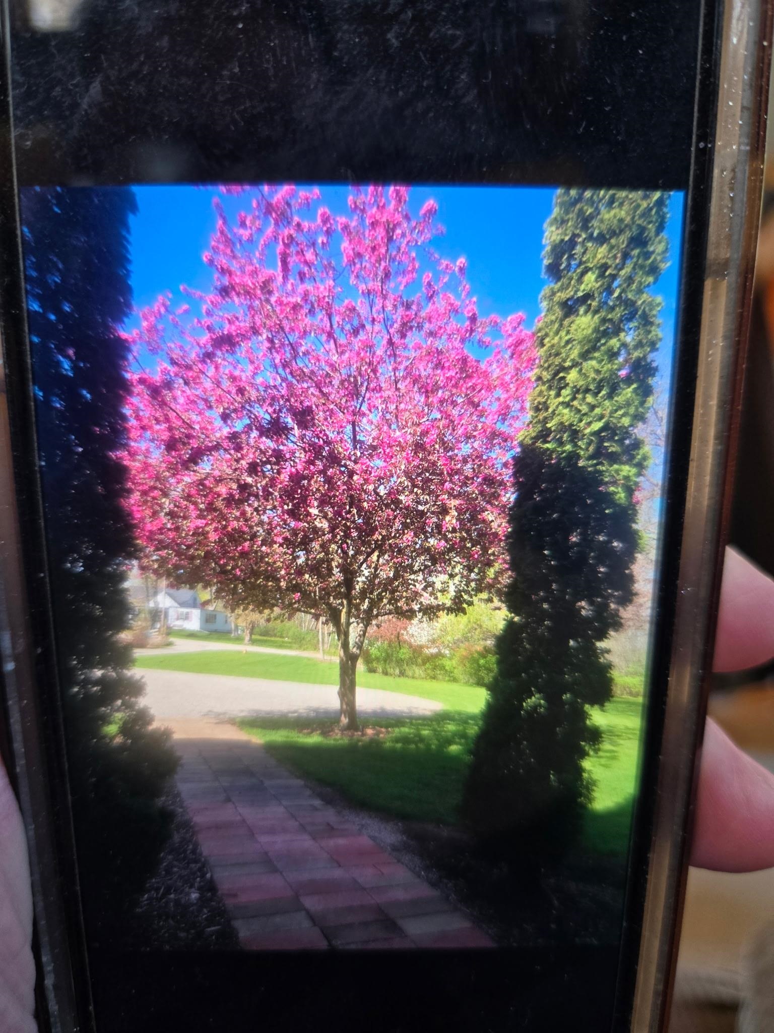 2190 Carleton Avenue Appleton, WI 54915 - Photo 64 of 69