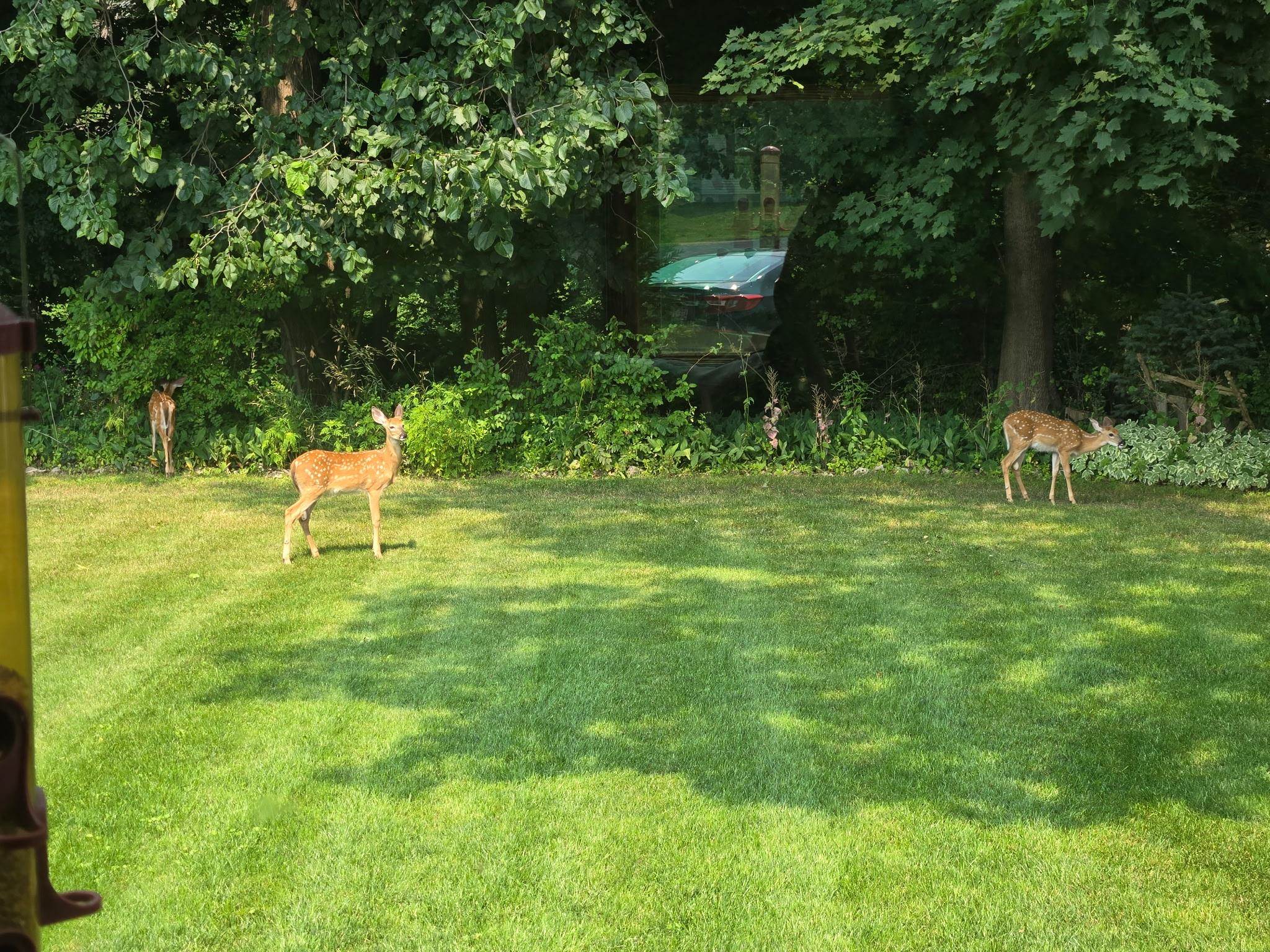 2190 Carleton Avenue Appleton, WI 54915 - Photo 68 of 69