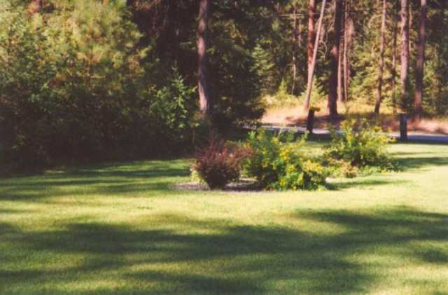 40087 Mackinaw Road Loon Lake, WA 99148 - Photo 3 of 9 Gallery Image 3