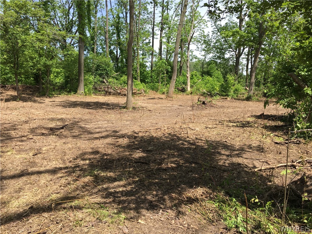 0 Knapp Road Akron, NY 14001 - Photo 1 of 1