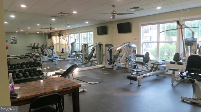 a backyard of a house with large tree