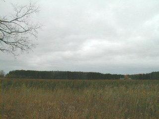 South Riggle Road Scottville, MI 49454 - Photo 1 of 1 Primary Photo