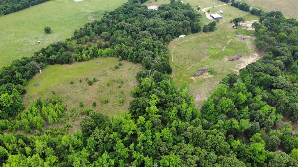23551 Tx-19 Canton, TX 75103 - Photo 13 of 21