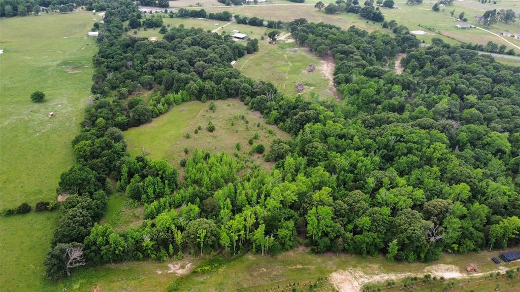 23551 Tx-19 Canton, TX 75103 - Photo 15 of 21
