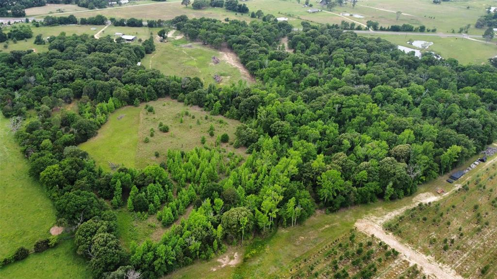 23551 Tx-19 Canton, TX 75103 - Photo 16 of 21