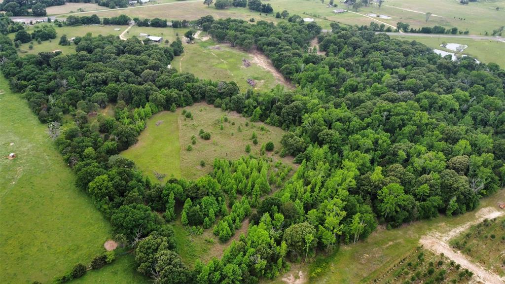 23551 Tx-19 Canton, TX 75103 - Photo 17 of 21
