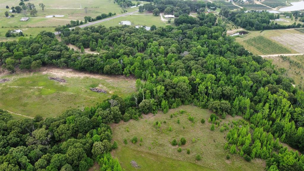 23551 Tx-19 Canton, TX 75103 - Photo 18 of 21