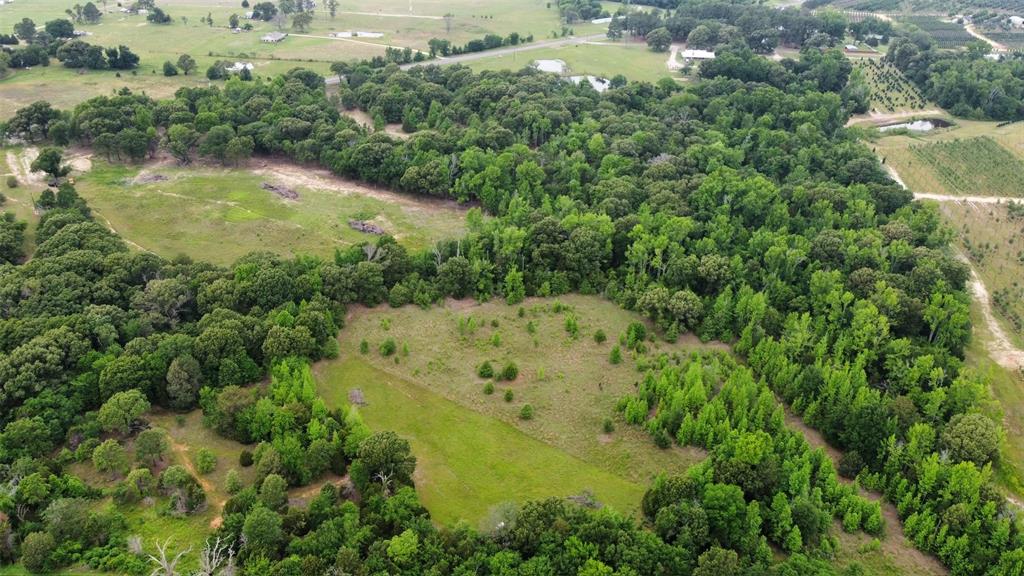 23551 Tx-19 Canton, TX 75103 - Photo 2 of 21 View from backside of land featuring 2 separate pastures. Hwy 19 near top of photo.