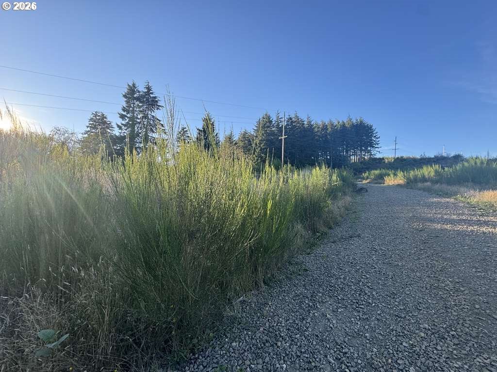 a view of a lake from a yard