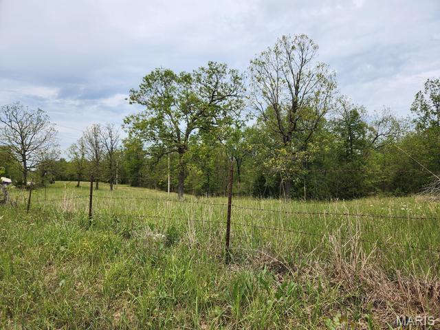 53 Wagon Wheel Road Conway, MO 65632 - Photo 18 of 21