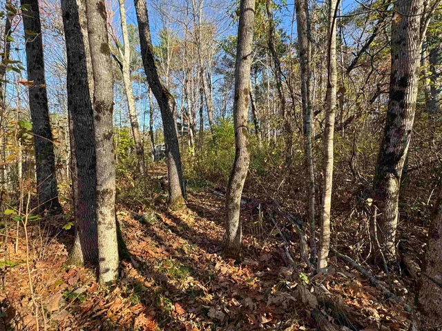 $69,000 | 0 Route 25c Piermont Nh 03779, Piermont, NH 03779