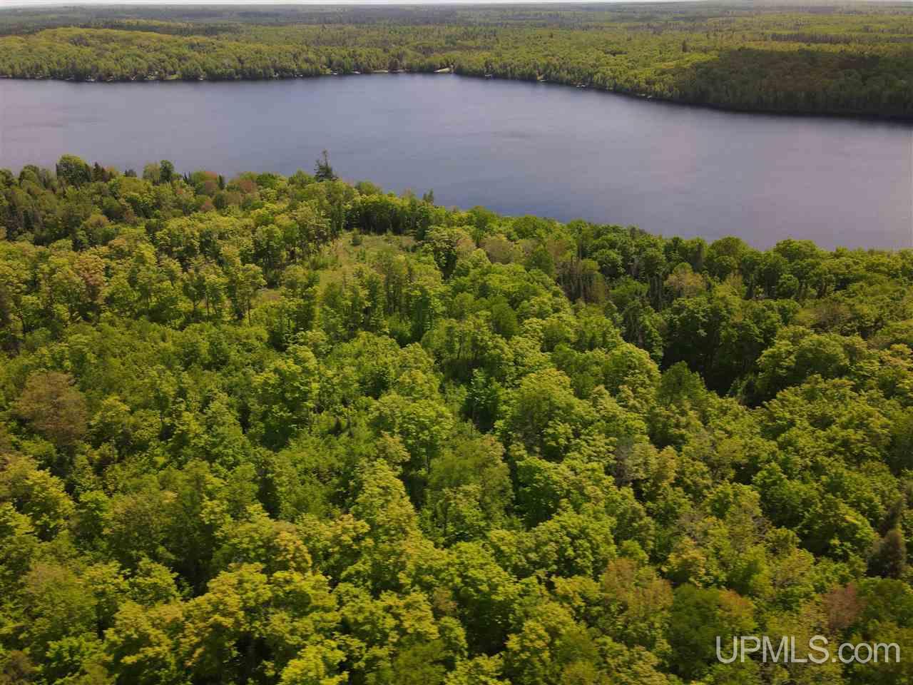 Tbd West Tamarack Lake Road, Unit 17 Iron River, MI 49935 - Photo 10 of 45
