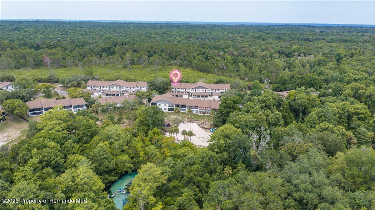 6653 River Run Boulevard Weeki Wachee, FL 34607 - Photo 4 of 55
