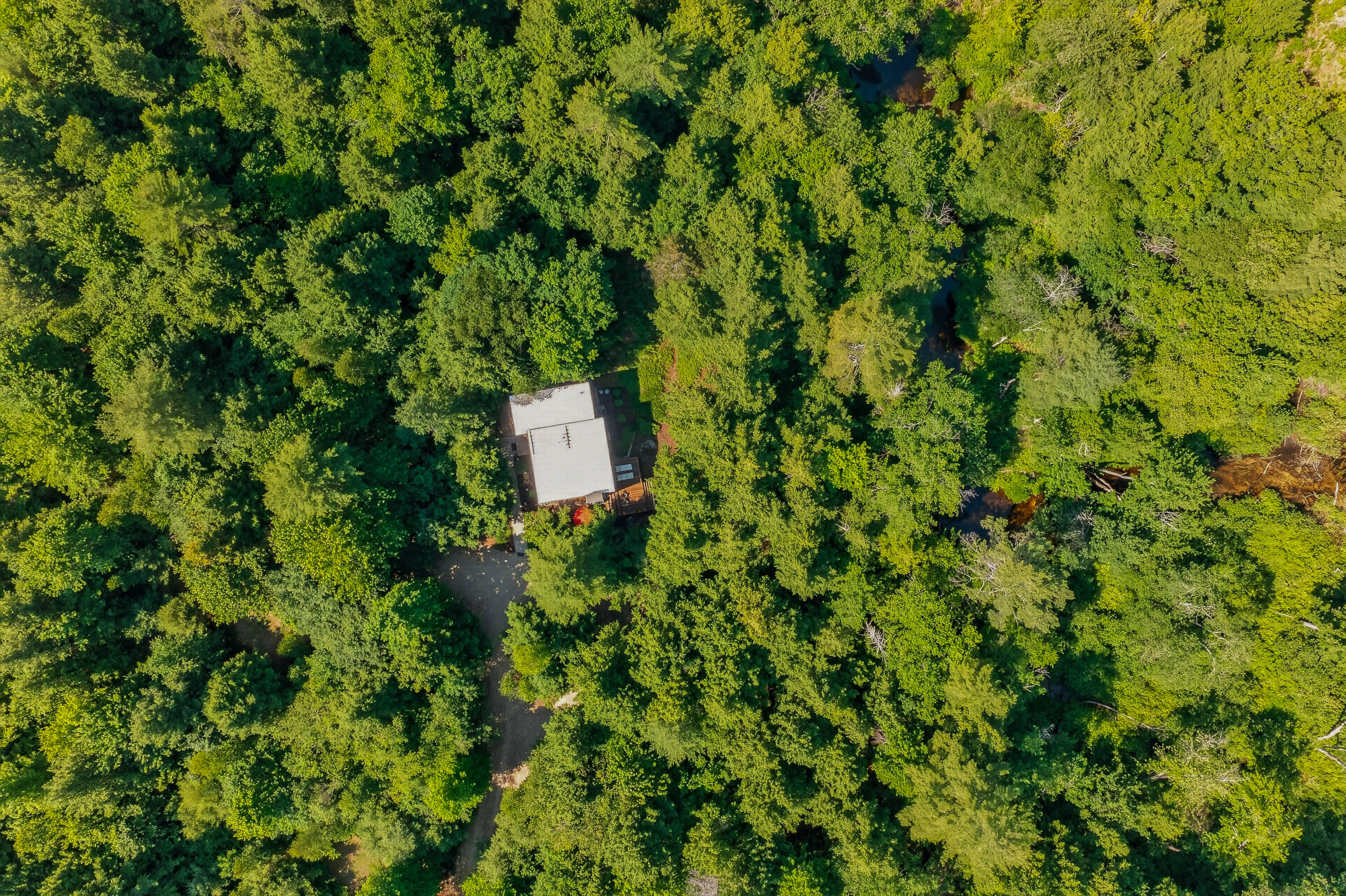 394 Waterford Road Bridgton, ME 04009 - Photo 48 of 49 06_394 Waterford Rd_MorneauStudios_Print