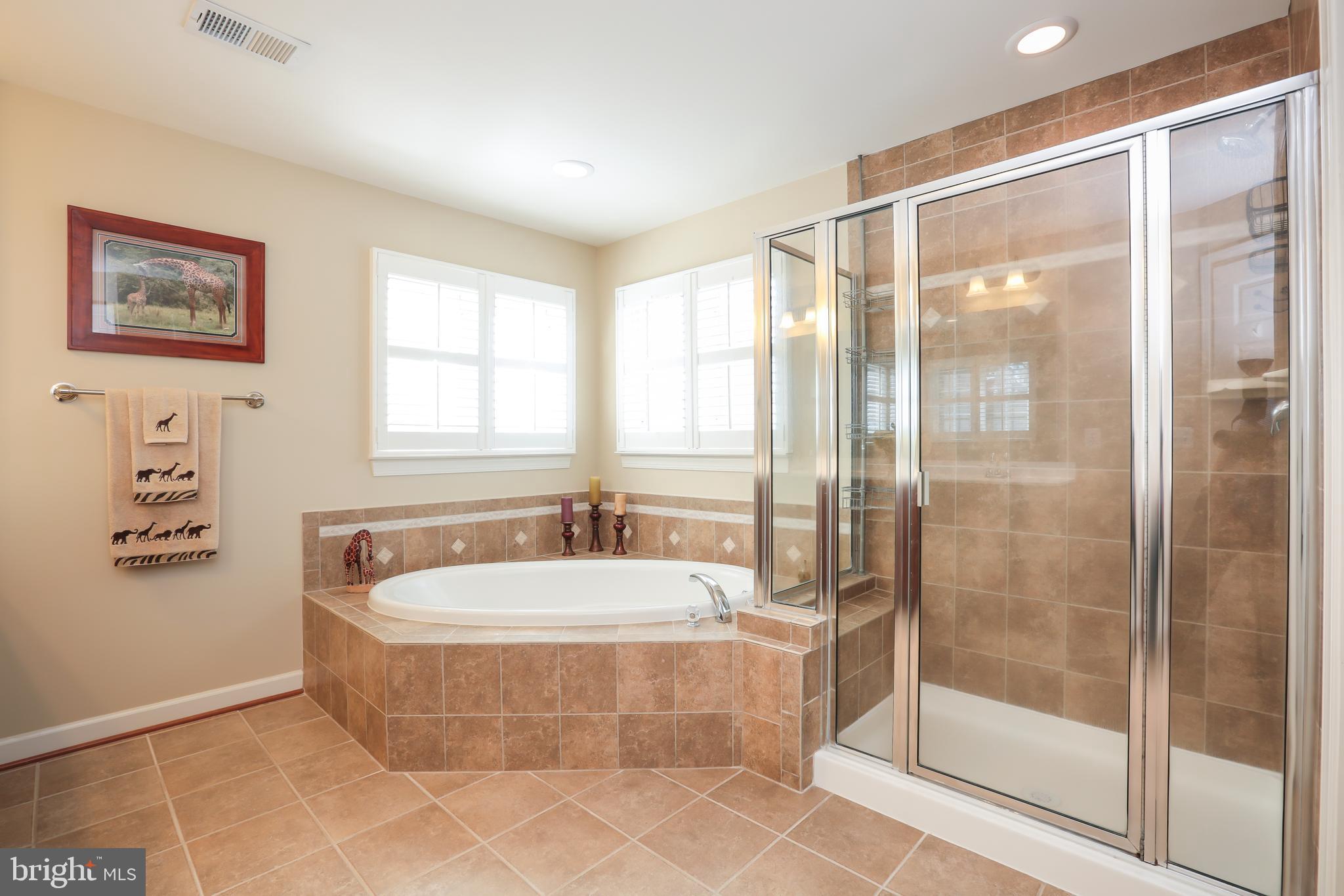4557 Spring Run Road Warrenton, VA 20187 - Photo 28 of 68 Owner's Bathroom - Soaking Tub and Separate Shower