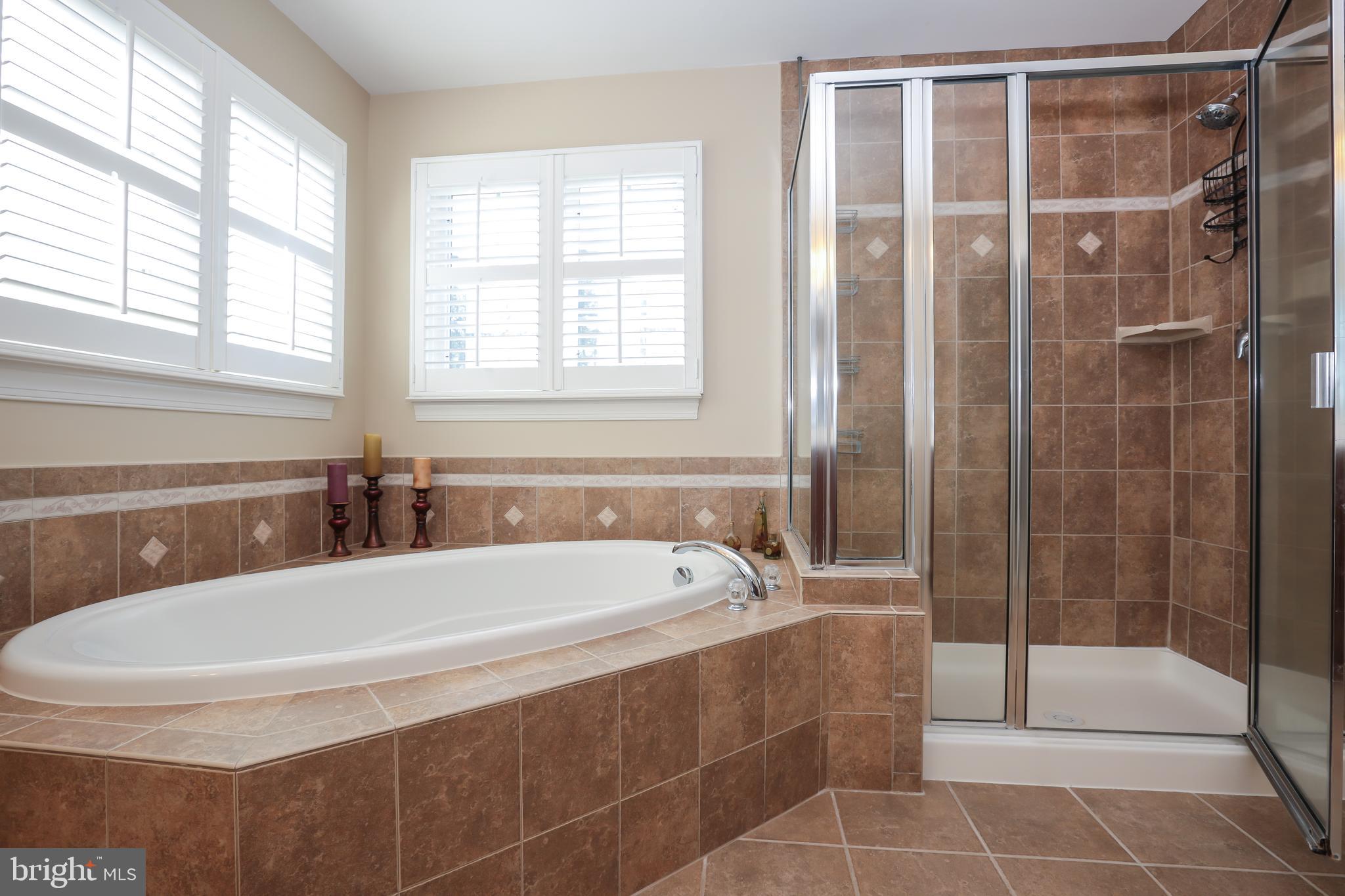 4557 Spring Run Road Warrenton, VA 20187 - Photo 29 of 68 Owner's Bathroom - Soaking Tub and Separate Shower