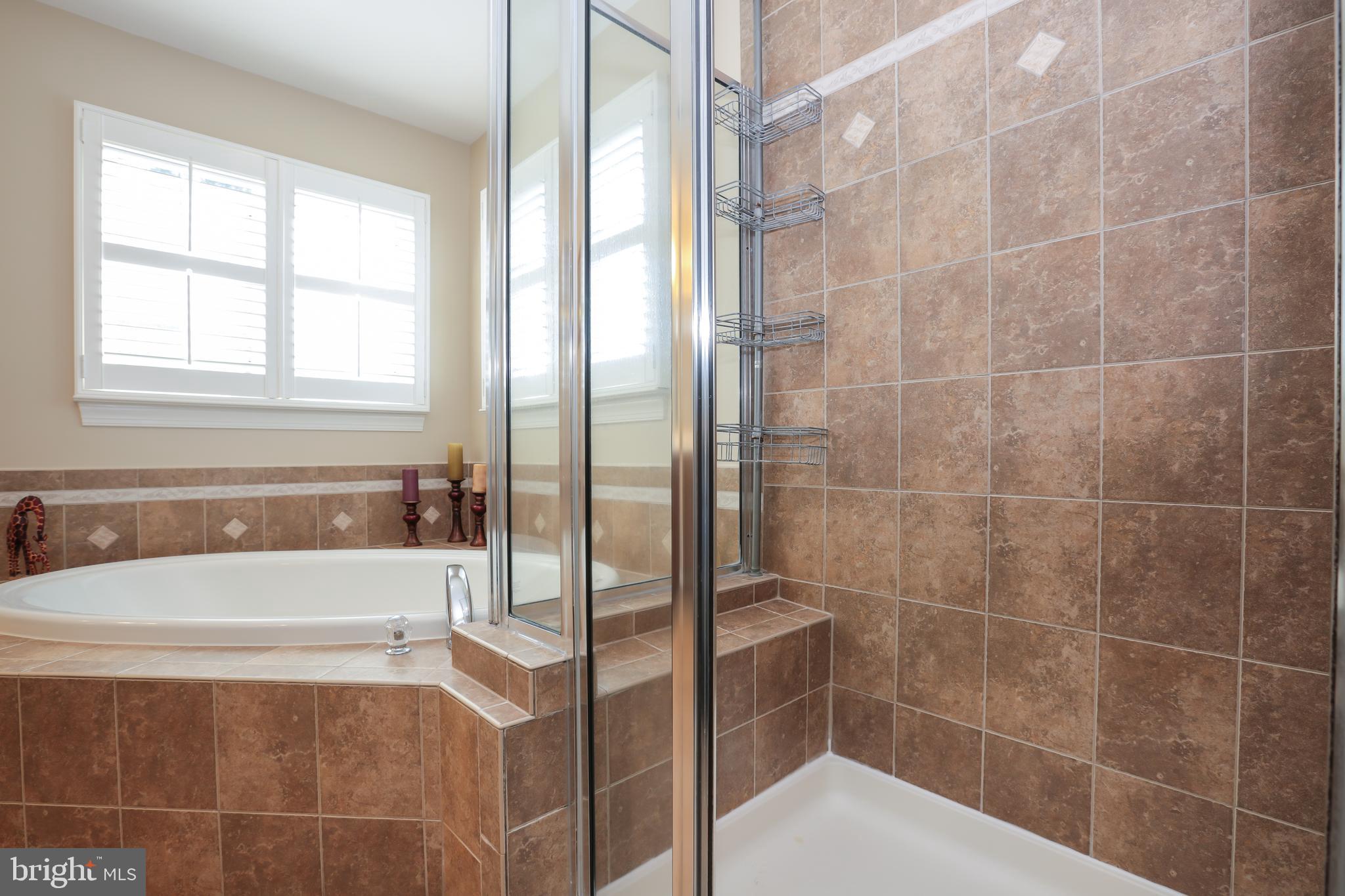 4557 Spring Run Road Warrenton, VA 20187 - Photo 30 of 68 Owner's Bathroom - Soaking Tub and Separate Shower