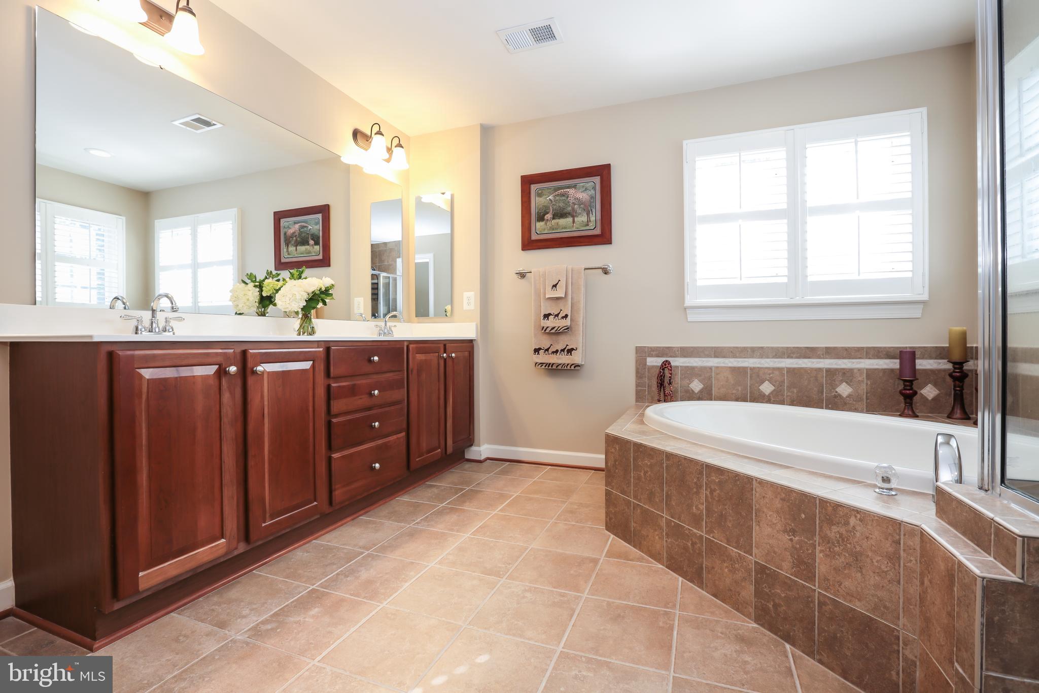 4557 Spring Run Road Warrenton, VA 20187 - Photo 31 of 68 Dual Vanities with Upgraded Cabinets