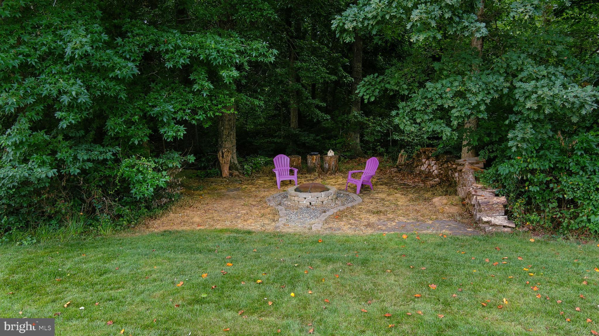 4557 Spring Run Road Warrenton, VA 20187 - Photo 60 of 68 Campfire Area with Fire Pit in the Woods