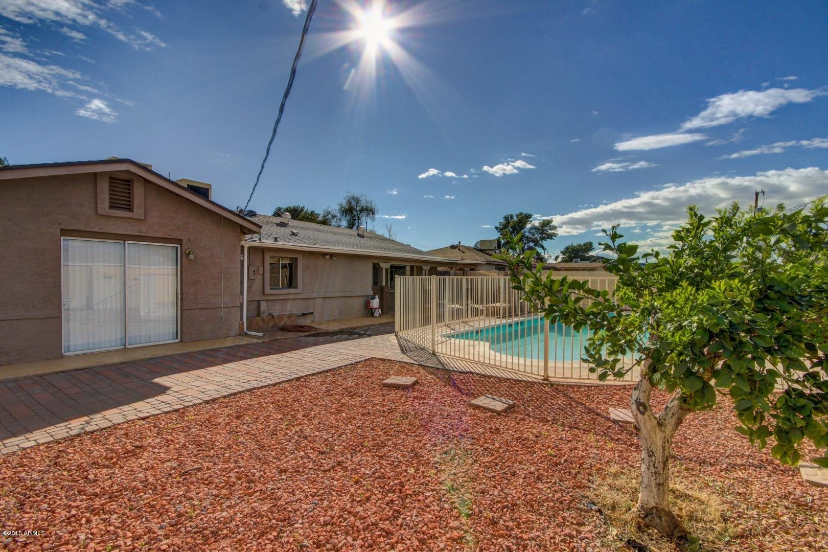 2326 East Cactus Road Phoenix, AZ 85022 - Photo 26 of 27 backyard towards house