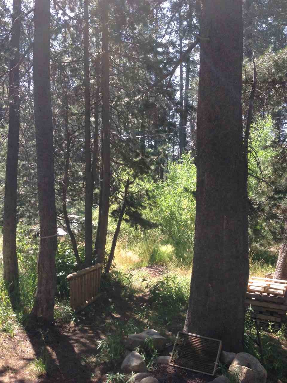 21341 Donner Pass Road Soda Springs, CA 95728 - Photo 3 of 8 Gallery Image 3