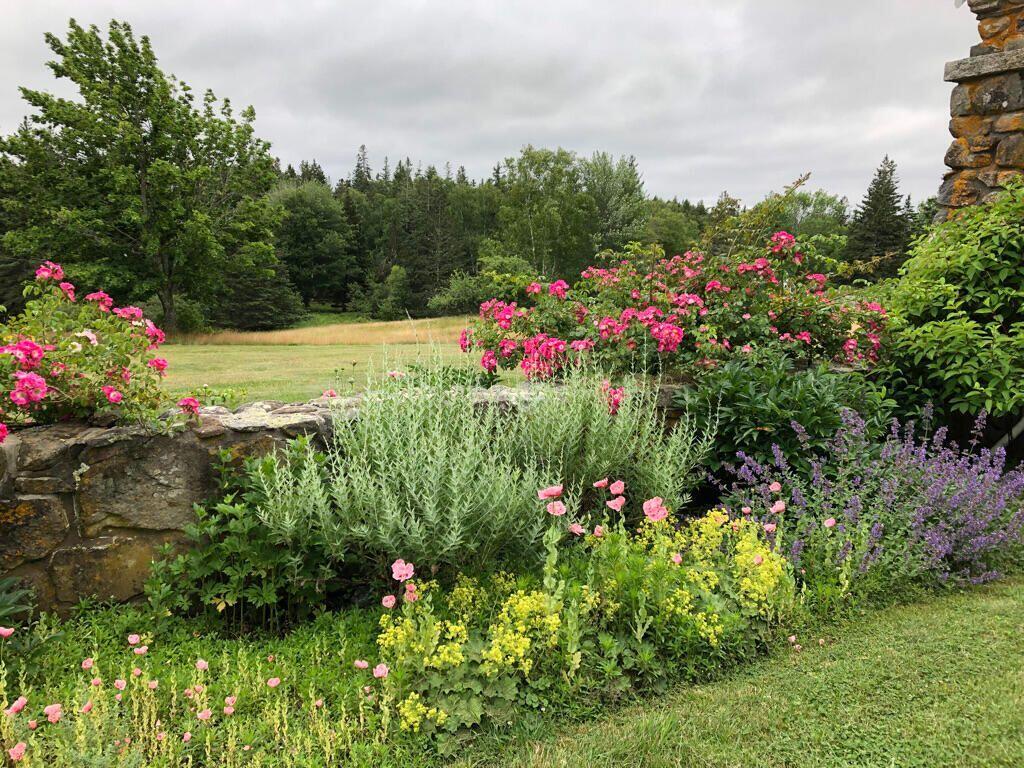 1392 North Haven Road Vinalhaven, ME 04863 - Photo 39 of 58 W55-ME2666_37N