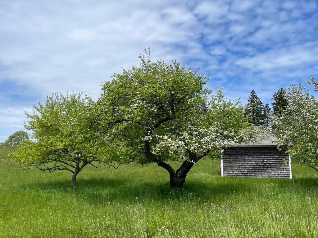 1392 North Haven Road Vinalhaven, ME 04863 - Photo 40 of 58 W56-ME2666_38N