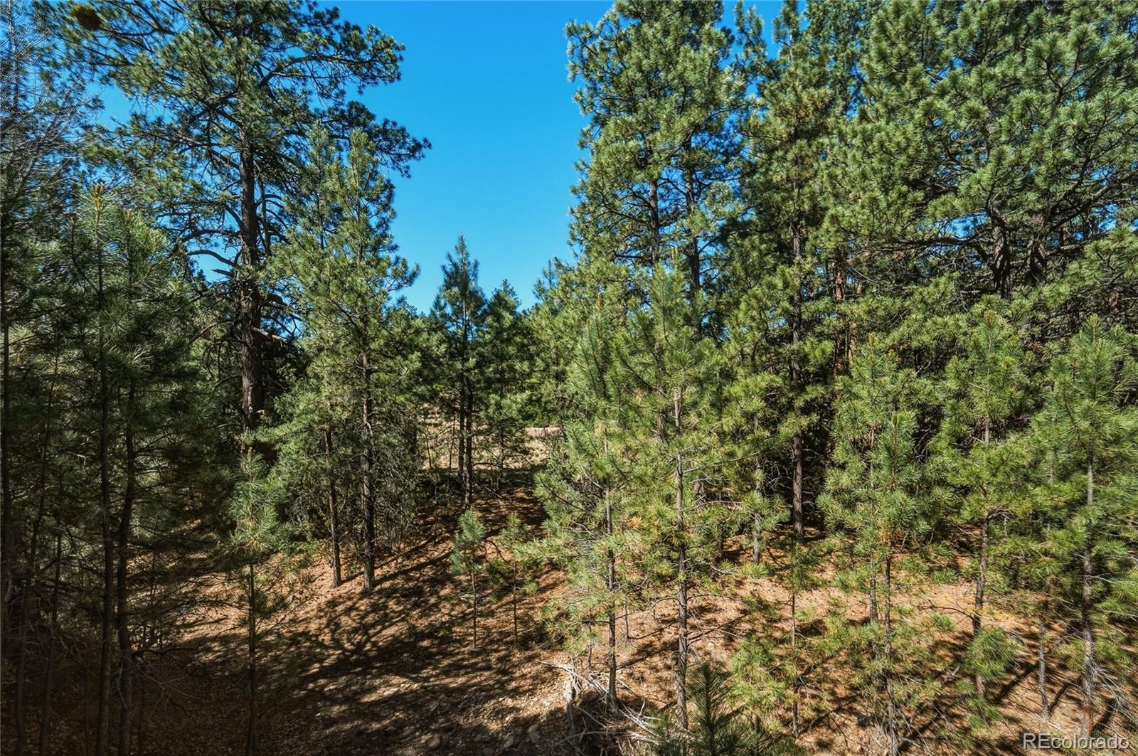 93 Blackhawk Ranch Walsenburg, CO 81089 - Photo 25 of 44