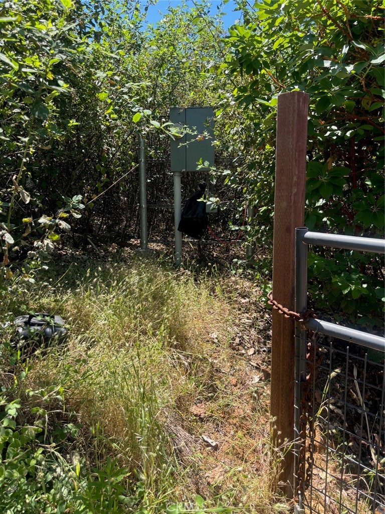 31 Rip Van Way Berry Creek, CA 95916 - Photo 3 of 6