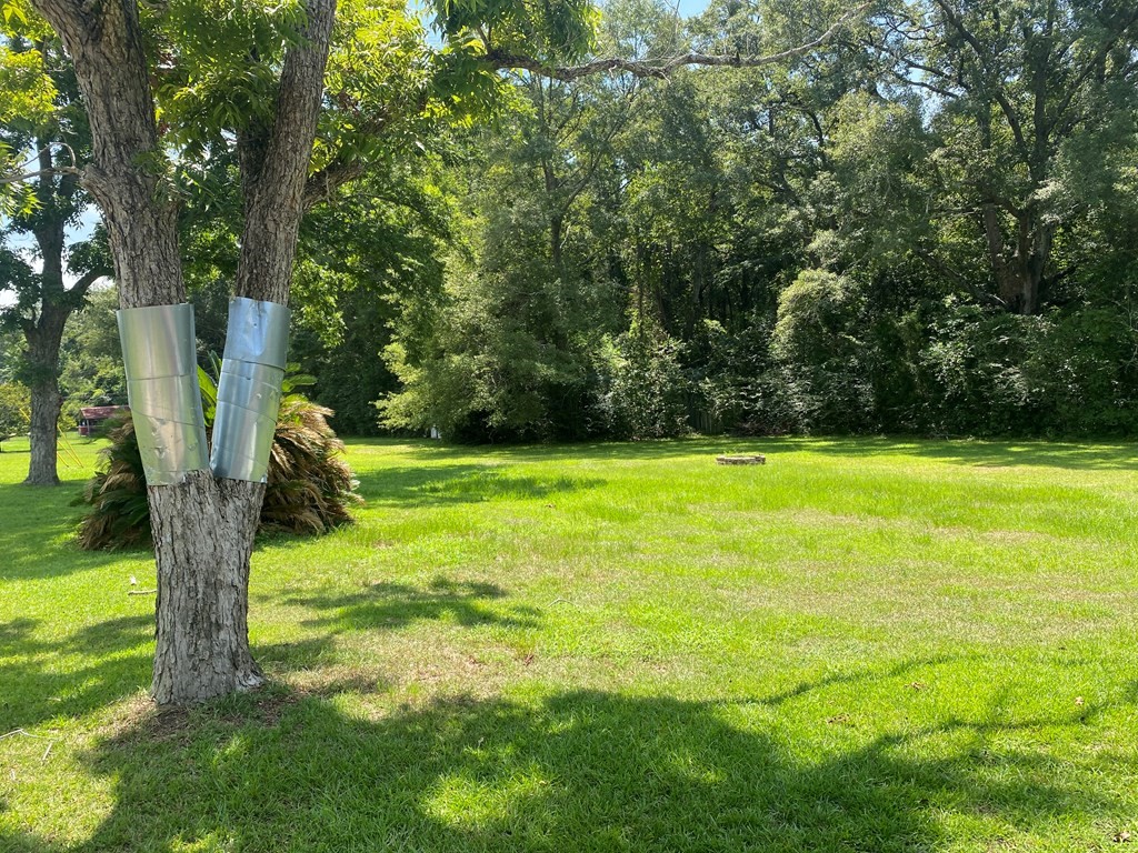 90 Riley Road Dothan, AL 36301 - Photo 10 of 11