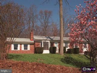 216 West Branch Road Barto, PA 19504 - Photo 1 of 1 Gallery Image 1