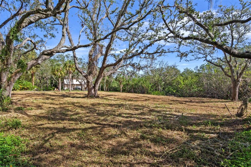 Irwin Street Safety Harbor, FL 34695 - Photo 6 of 14