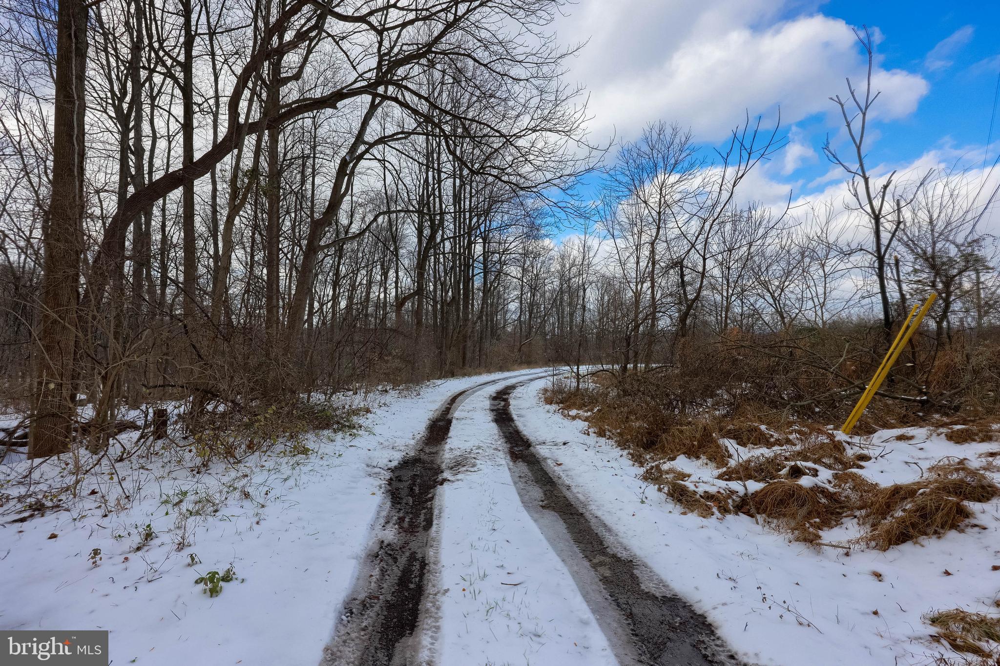Mine Road Lebanon, PA 17042 - Photo 23 of 27 a view of a yard with large trees