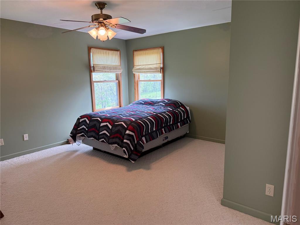 126 Opossum Trot Road Bellflower, MO 63333 - Photo 28 of 60
