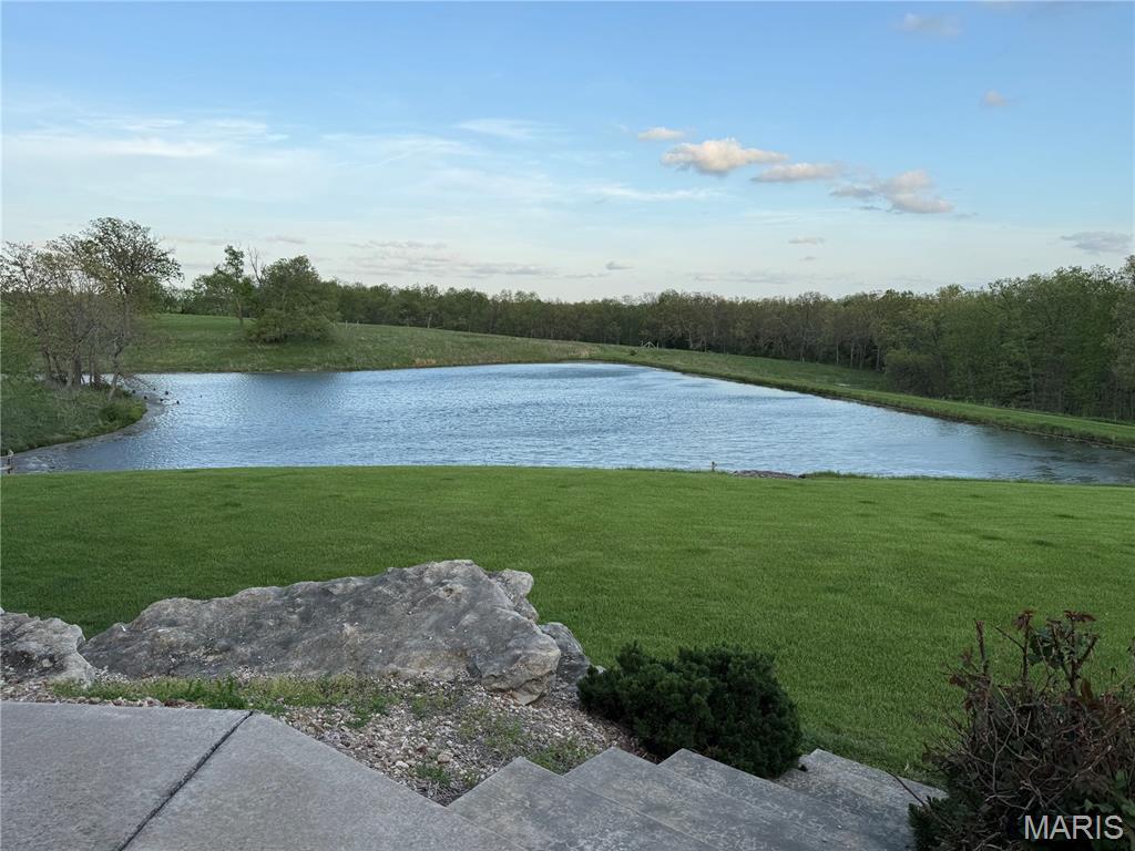 126 Opossum Trot Road Bellflower, MO 63333 - Photo 33 of 60