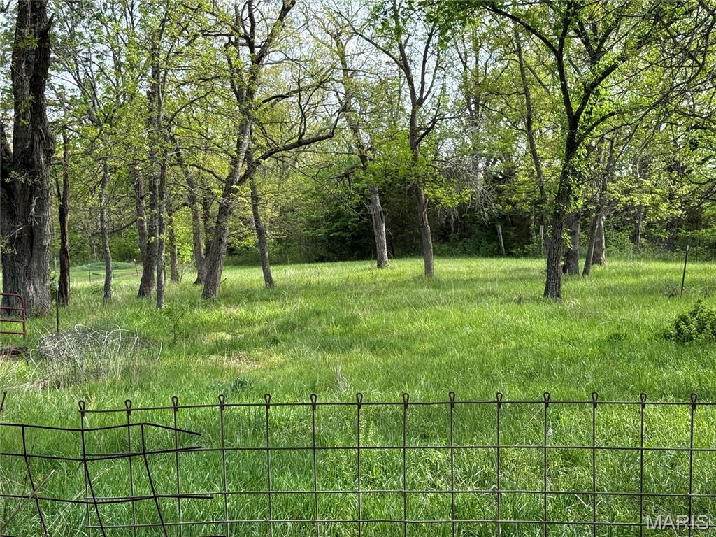 126 Opossum Trot Road Bellflower, MO 63333 - Photo 44 of 60