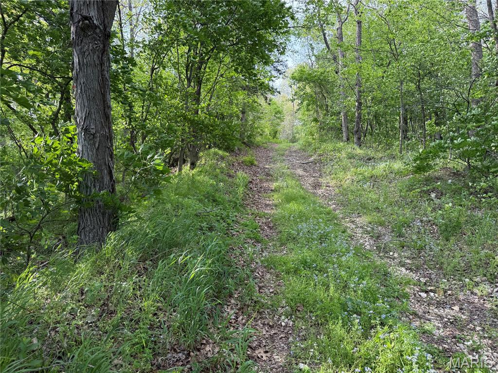126 Opossum Trot Road Bellflower, MO 63333 - Photo 45 of 60