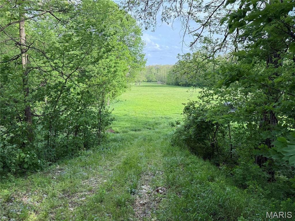 126 Opossum Trot Road Bellflower, MO 63333 - Photo 46 of 60