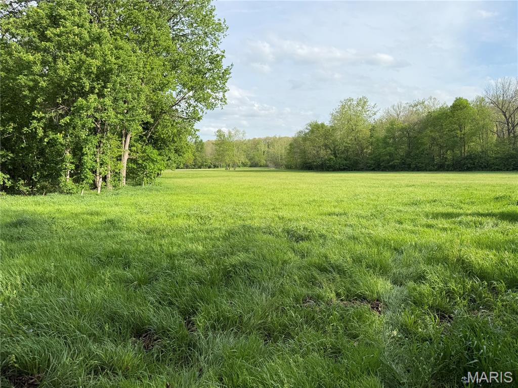 126 Opossum Trot Road Bellflower, MO 63333 - Photo 47 of 60