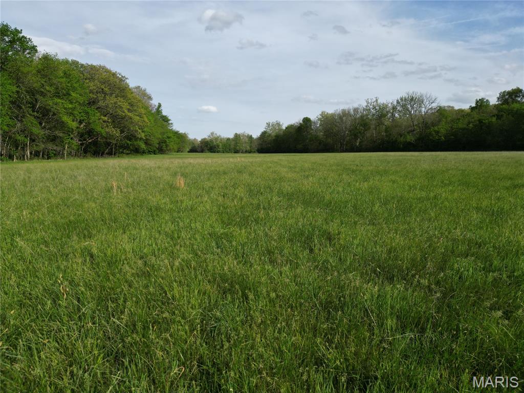 126 Opossum Trot Road Bellflower, MO 63333 - Photo 48 of 60