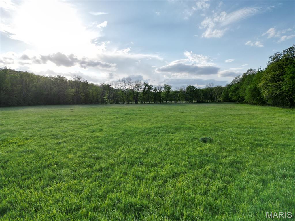 126 Opossum Trot Road Bellflower, MO 63333 - Photo 49 of 60