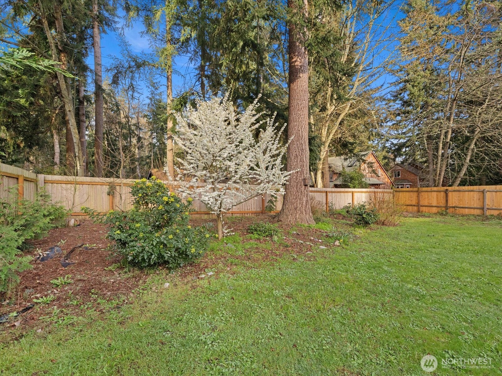 7822 Songbird Way Clinton, WA 98236 - Photo 24 of 28 a view of backyard with tree