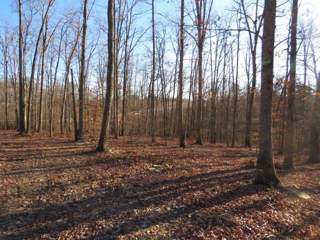 300 BEN LOWE Road Morehead, KY 40351 - Photo 5 of 10 Photo 5